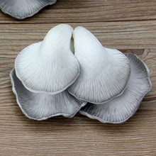 Load image into Gallery viewer, Multiple Style Mini Simulation Artificial Vegetable Pepper Pumpkin Garlic Fruit Fake Pretend Play Cutting Toy Home Decoration