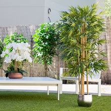 Load image into Gallery viewer, Artificial plant, family trees with trunks Natural, for home decoration, bamboo, Rubber plant, Wisteria, Olive, eucalyptus, Almond
