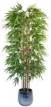 Load image into Gallery viewer, Artificial plant, family trees with trunks Natural, for home decoration, bamboo, Rubber plant, Wisteria, Olive, eucalyptus, Almond
